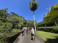 Inselrundfahrt Mahé Teil 2 - Botanischer Garten