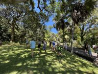 Inselrundfahrt Mahé Teil 2 - Botanischer Garten