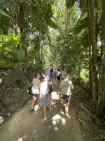 Inselrundfahrt Mahé Teil 2 - Botanischer Garten von Victoria