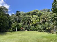 Inselrundfahrt Mahé Teil 2 - Botanischer Garten von Victoria