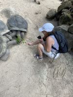 Inselrundfahrt Mahé Teil 2 - Botanischer Garten von Victoria