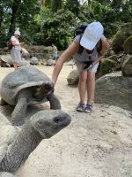 Inselrundfahrt Mahé Teil 2 - Botanischer Garten von Victoria