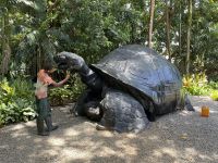 Inselrundfahrt Mahé Teil 2 - Botanischer Garten von Victoria
