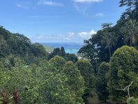 Südküste von Mahé 