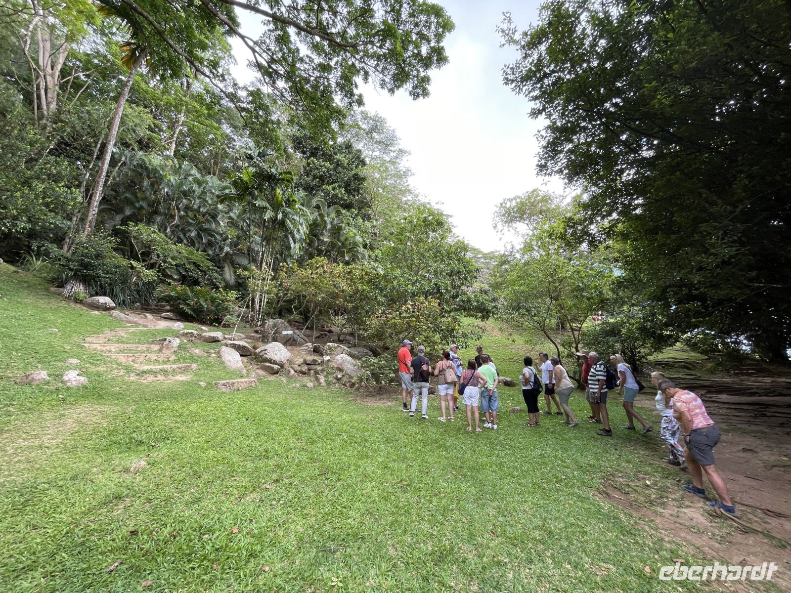 Südküste von Mahé - Gewürzplantage