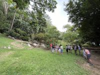 Südküste von Mahé - Gewürzplantage