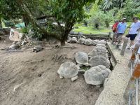 Südküste von Mahé - Gewürzplantage