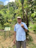 Südküste von Mahé - Gewürzplantage