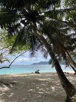 Südküste von Mahé - Gewürzplantage