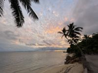 Willkommen auf Praslin - im Hotel Coco de Mer