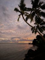 Willkommen auf Praslin - im Hotel Coco de Mer