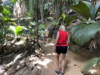 Inselrundfahrt Praslin - Vallée de Mai Nationalpark