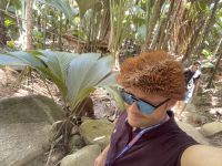 Inselrundfahrt Praslin - Vallée de Mai Nationalpark