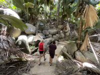 Inselrundfahrt Praslin - Vallée de Mai Nationalpark