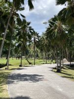 Inselrundfahrt Praslin