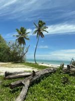 Inselrundfahrt Praslin