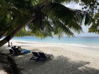 Inselrundfahrt Praslin - Anse Lazio Beach