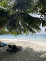 Inselrundfahrt Praslin - Anse Lazio Beach