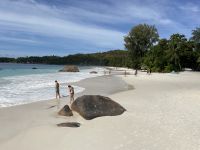 Inselrundfahrt Praslin - Anse Lazio Beach