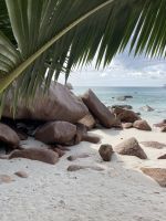 Inselrundfahrt Praslin - Anse Lazio Beach