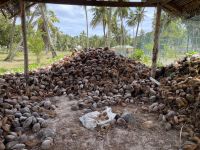 Inselrundfahrt La Digue - Kokosnussplantage