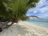 La Digue - Anse Source d'Argent