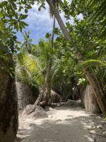 La Digue - Anse Source d'Argent