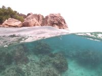 Schnorcheln vor La Digue