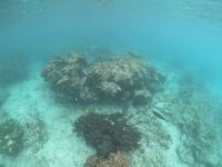 Schnorcheln vor La Digue