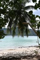 Seychellen - Curieuse (5)