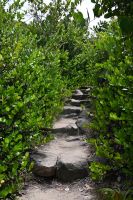 Seychellen - Curieuse (6)