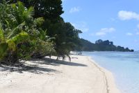Seychellen - La Digue (6)