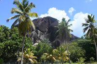 Seychellen - La Digue (12)