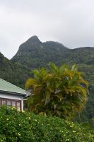 Seychellen - Mahe - Höchster Berg der Seychellen