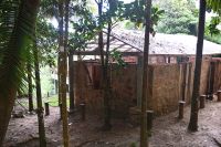 Seychellen - Mahe - Mission Lodge (1)