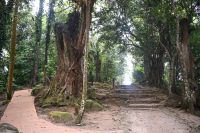 Seychellen - Mahe - Mission Lodge (2)