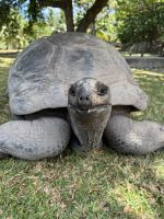 Seychellen -  Grand Soeur Bootsausflug (7)