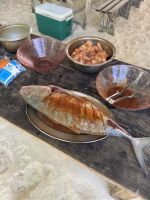 Seychellen -  Grand Soeur Bootsausflug (8)