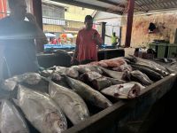 ...auf dem Wochenmarkt in Victoria (4)