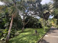 ...im botanischen Garten (2)