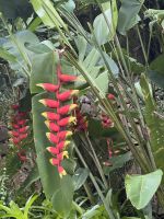 ...im botanischen Garten (4)