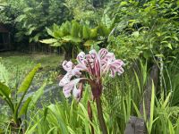 ...im botanischen Garten (5)