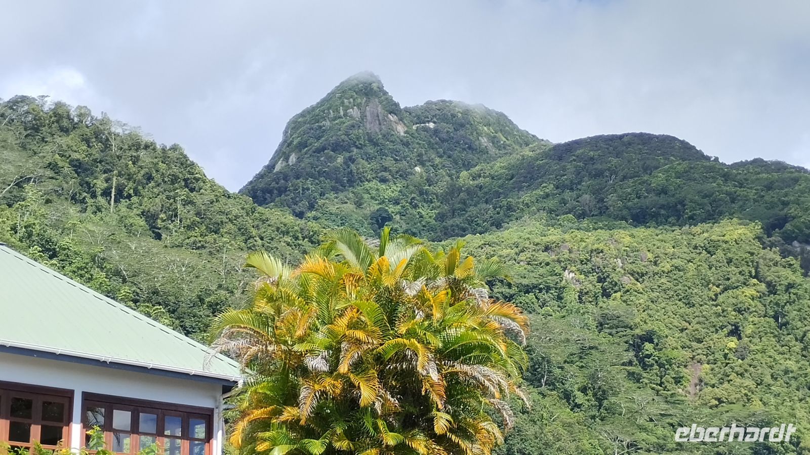 Der höchste Berg auf der Insel Mahe, Morne Seychellois