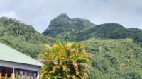 Der höchste Berg auf der Insel Mahe, Morne Seychellois