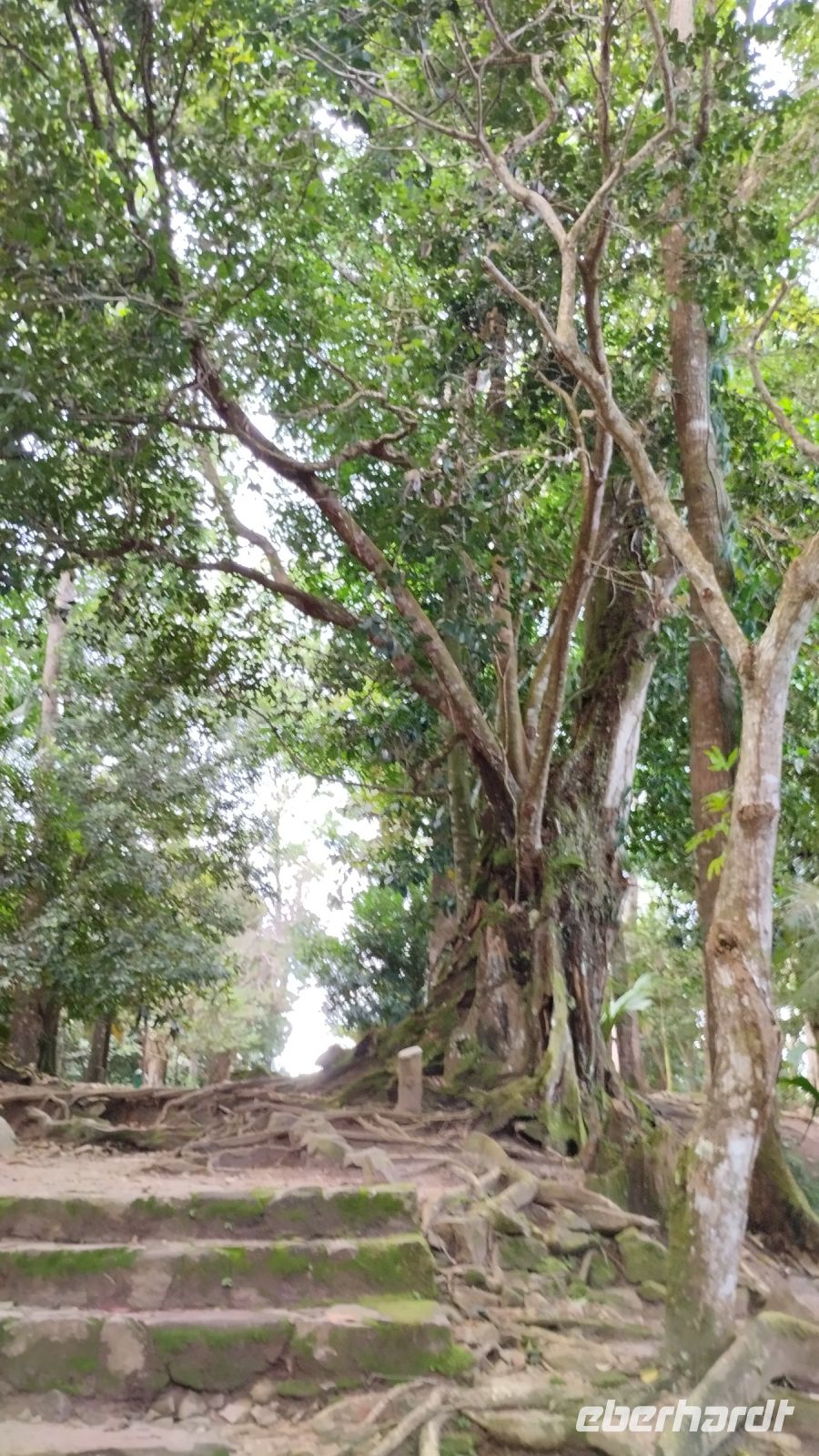 Wir machen einen Spaziergang