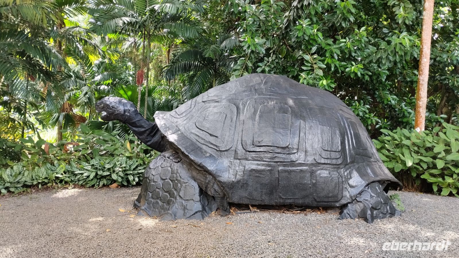 keine echte Schildkröte...