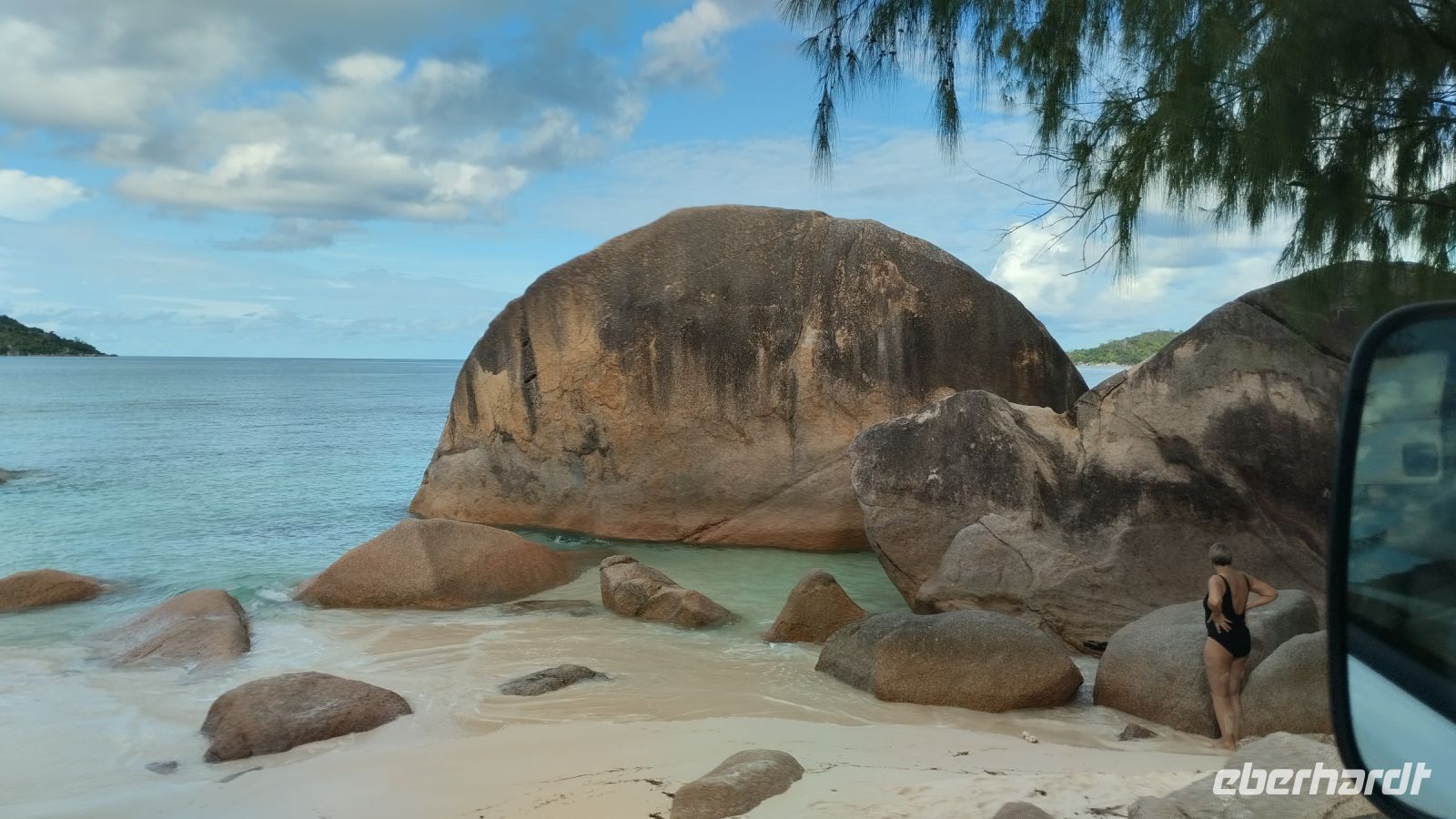 Die Schildkröte aus Stein