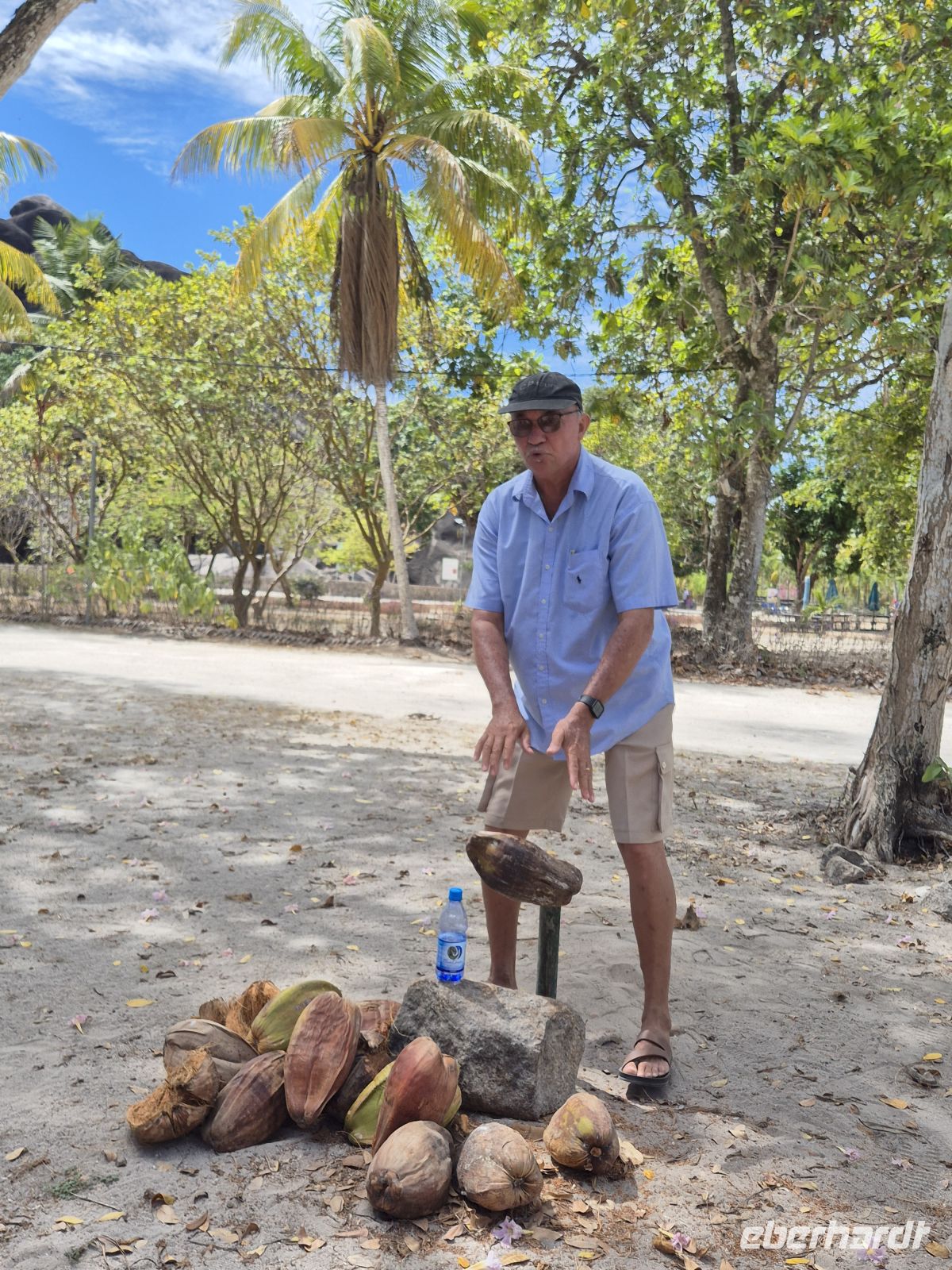 Schälen einer Kokosnuss