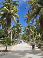 La Reunion auf La Digue