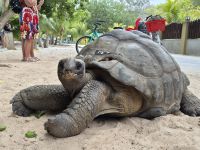Freizeit auf La Digue